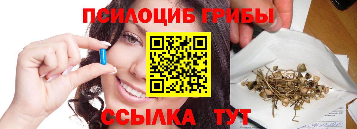 Галлюциногенные грибы Psilocybe  Вход с VPN  Шахты  Псилоцибиновые грибы прущие грибы 